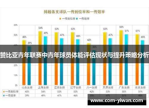 赞比亚青年联赛中青年球员体能评估现状与提升策略分析
