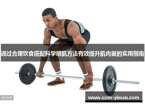 通过合理饮食搭配科学增肌方法有效提升肌肉量的实用指南
