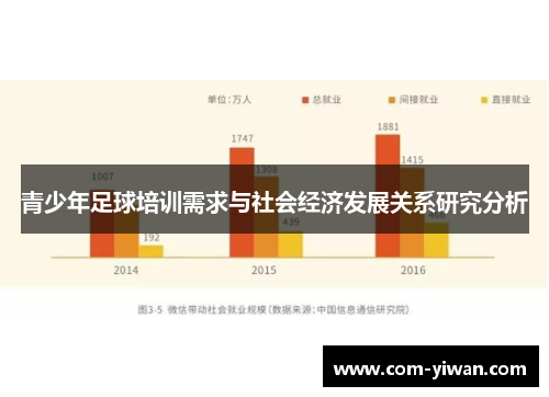 青少年足球培训需求与社会经济发展关系研究分析 青少年足球培训需求与社会经济发展关系研究分析